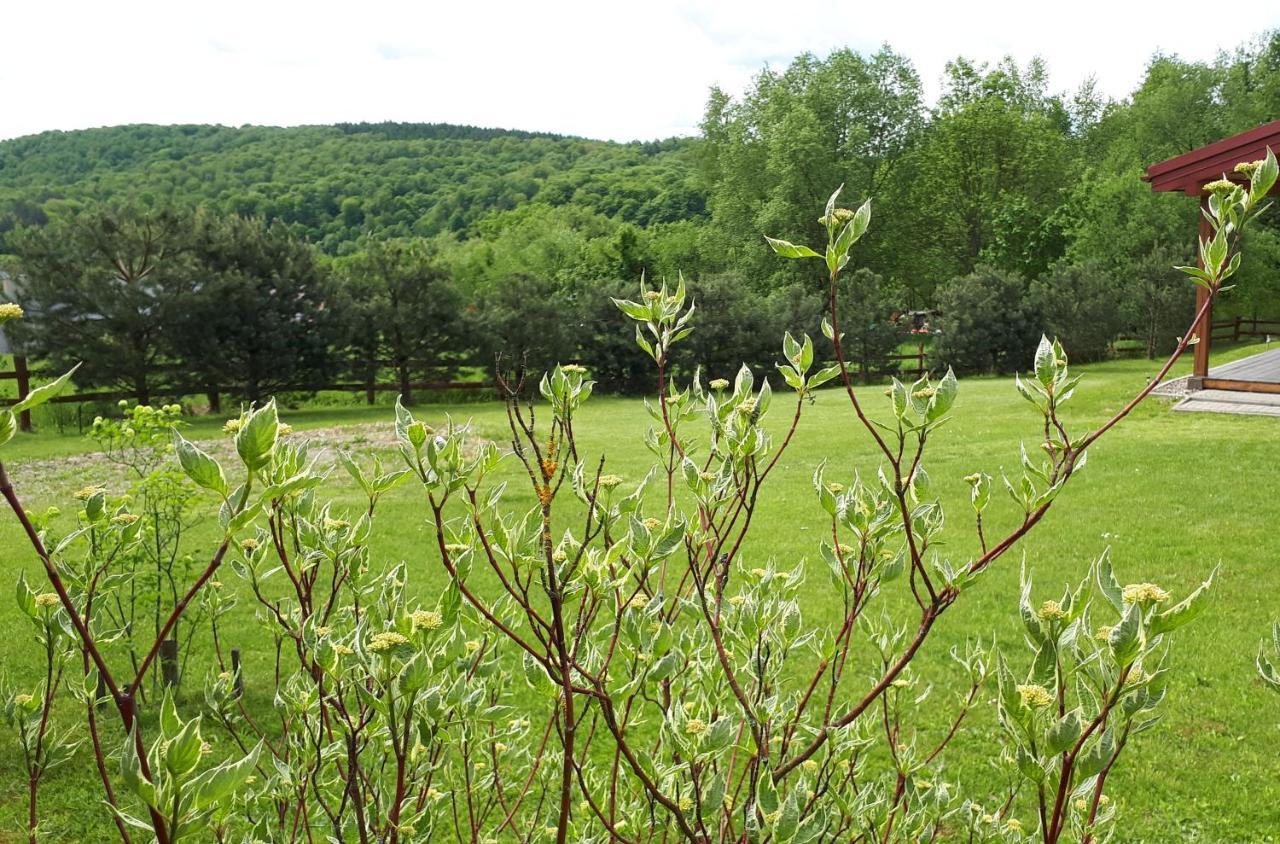 RuszelczyceDom Nad Dolina Sanu别墅 外观 照片