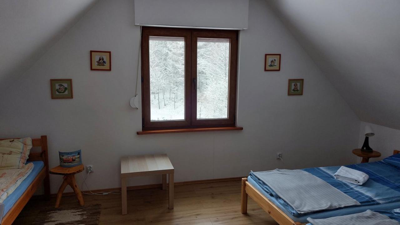 RuszelczyceDom Nad Dolina Sanu别墅 外观 照片