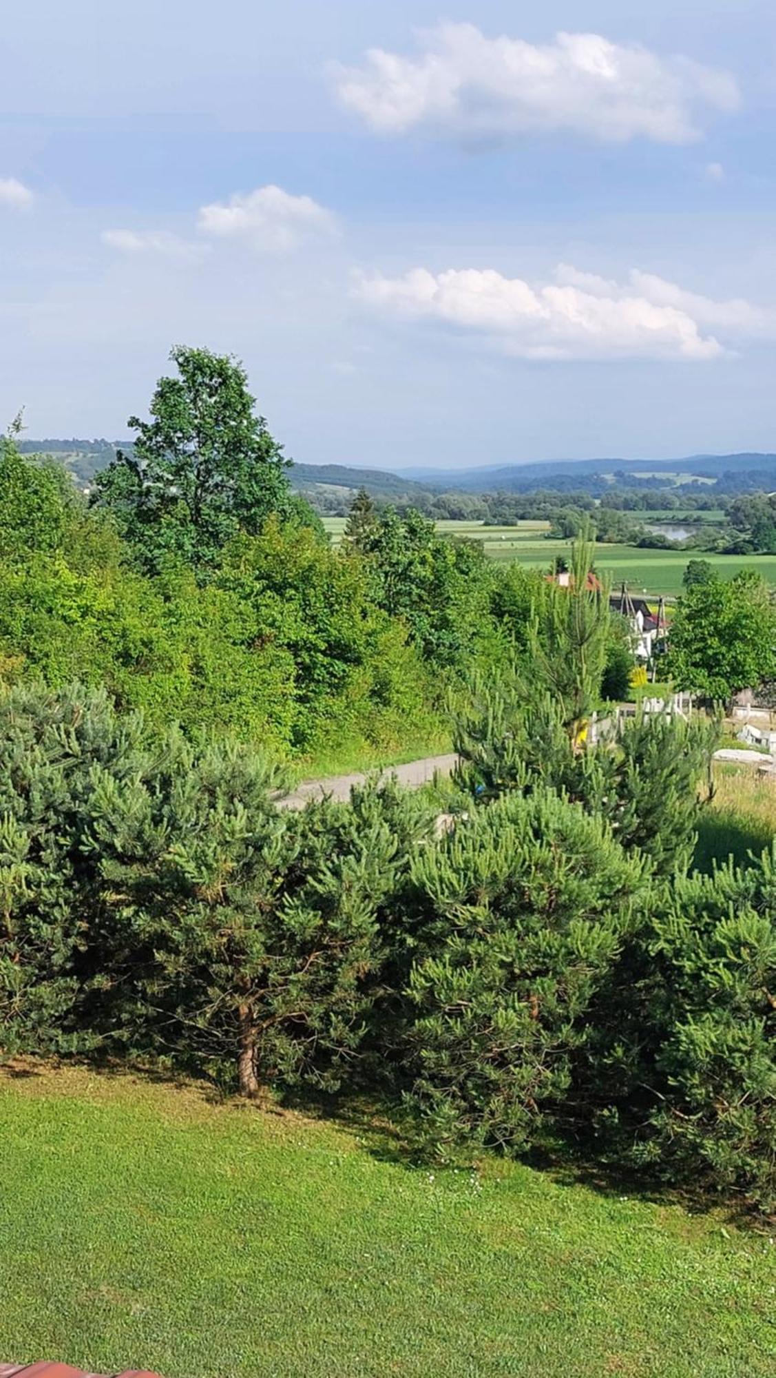 RuszelczyceDom Nad Dolina Sanu别墅 外观 照片