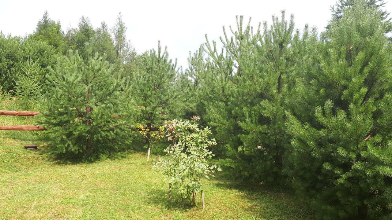 RuszelczyceDom Nad Dolina Sanu别墅 外观 照片